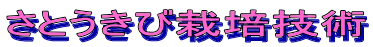 Ƃэ͔|Zp