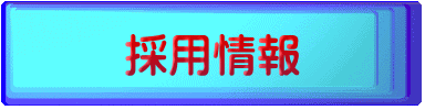 �̗p��� 